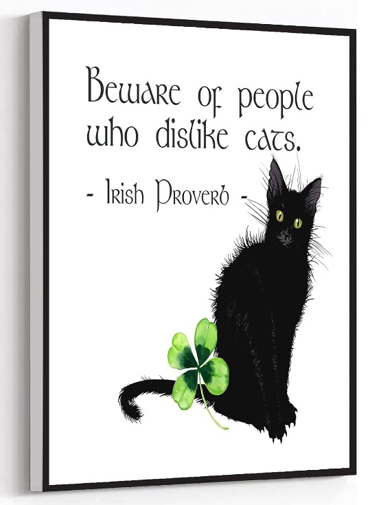 Beware of People who Dislike Cats Irish Proverb